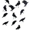 12" Crow Sticker 12 Piece Decoration Set