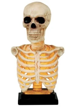 16-Inch Skeleton Bust With Light & Sound Halloween Decoration -Halloween Costumes 16 skeleton bust with light and sound alt 3