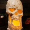 20-Inch Light Up Melting Skull Halloween Decoration 1 20-Inch Light Up Melting Skull Halloween Decoration -Halloween Costumes 20 inch light up melting skull decoration