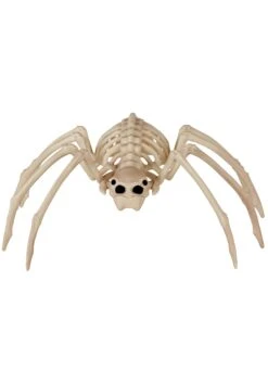 20" Spider Skeleton Halloween Decoration 5 20" Spider Skeleton Halloween Decoration -Halloween Costumes 20 spider skeleton alt 1