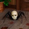 24-Inch Baby Head Spider Prop 2 24-Inch Baby Head Spider Prop -Halloween Costumes 24 baby head spider