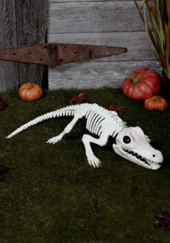 31-Inch Crocodile Skeleton Halloween Decoration