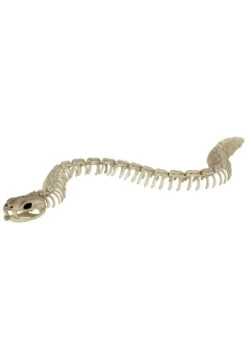 36" Snake Skeleton Halloween Decoration -Halloween Costumes 36 snake skeleton alt 1