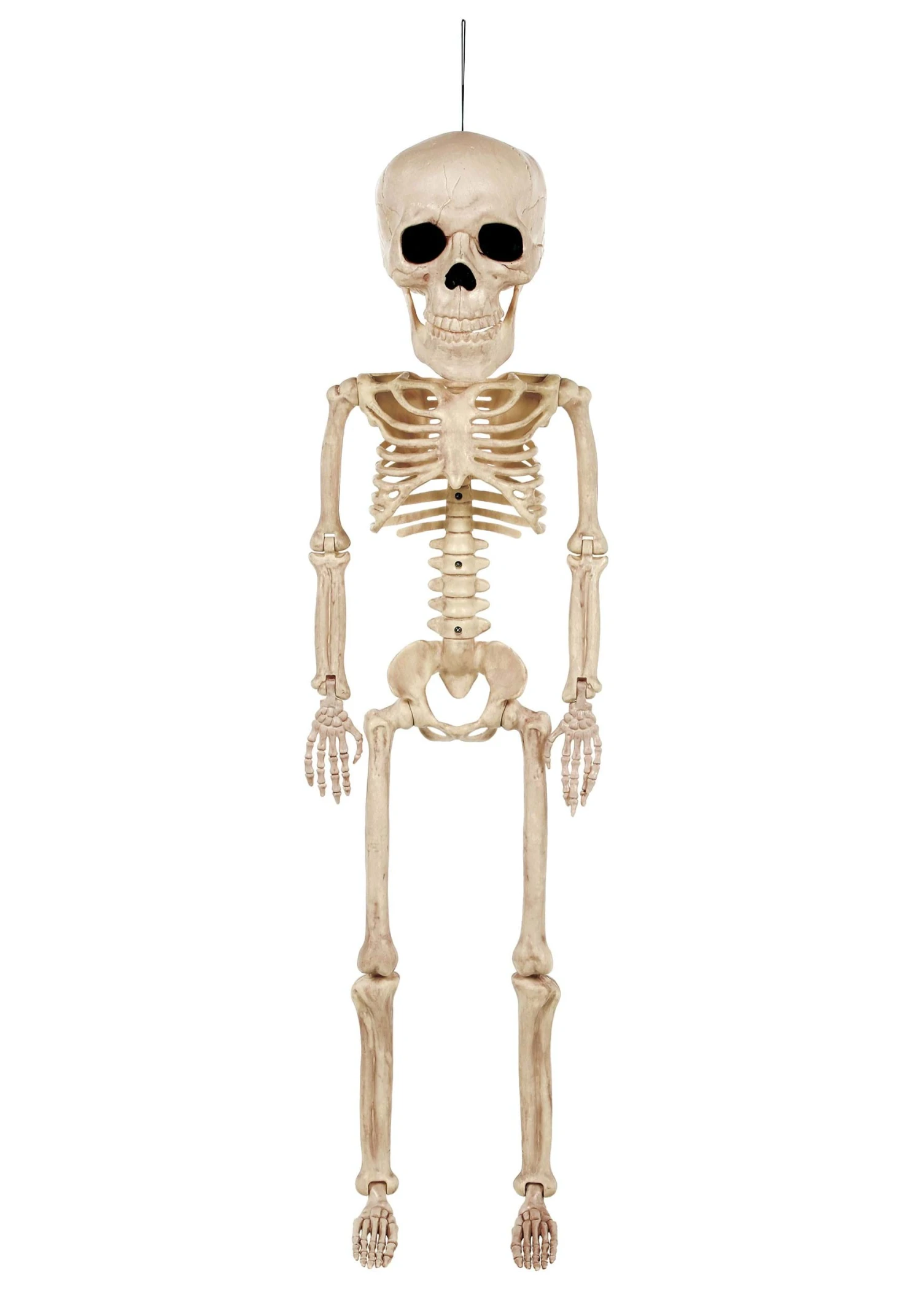 38-Inch Super Skull Skeleton Halloween Decoration 5 38-Inch Super Skull Skeleton Halloween Decoration - Image 3