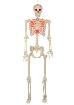5 Foot Red Light Up Face And Chest Poseable Skeleton Halloween Decoration -Halloween Costumes 5ft poseable red light up face chest skeleton alt 3