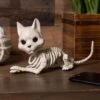 Cute Skeleton Cat Prop Decoration -Halloween Costumes 6 5 inch cute skeleton cat