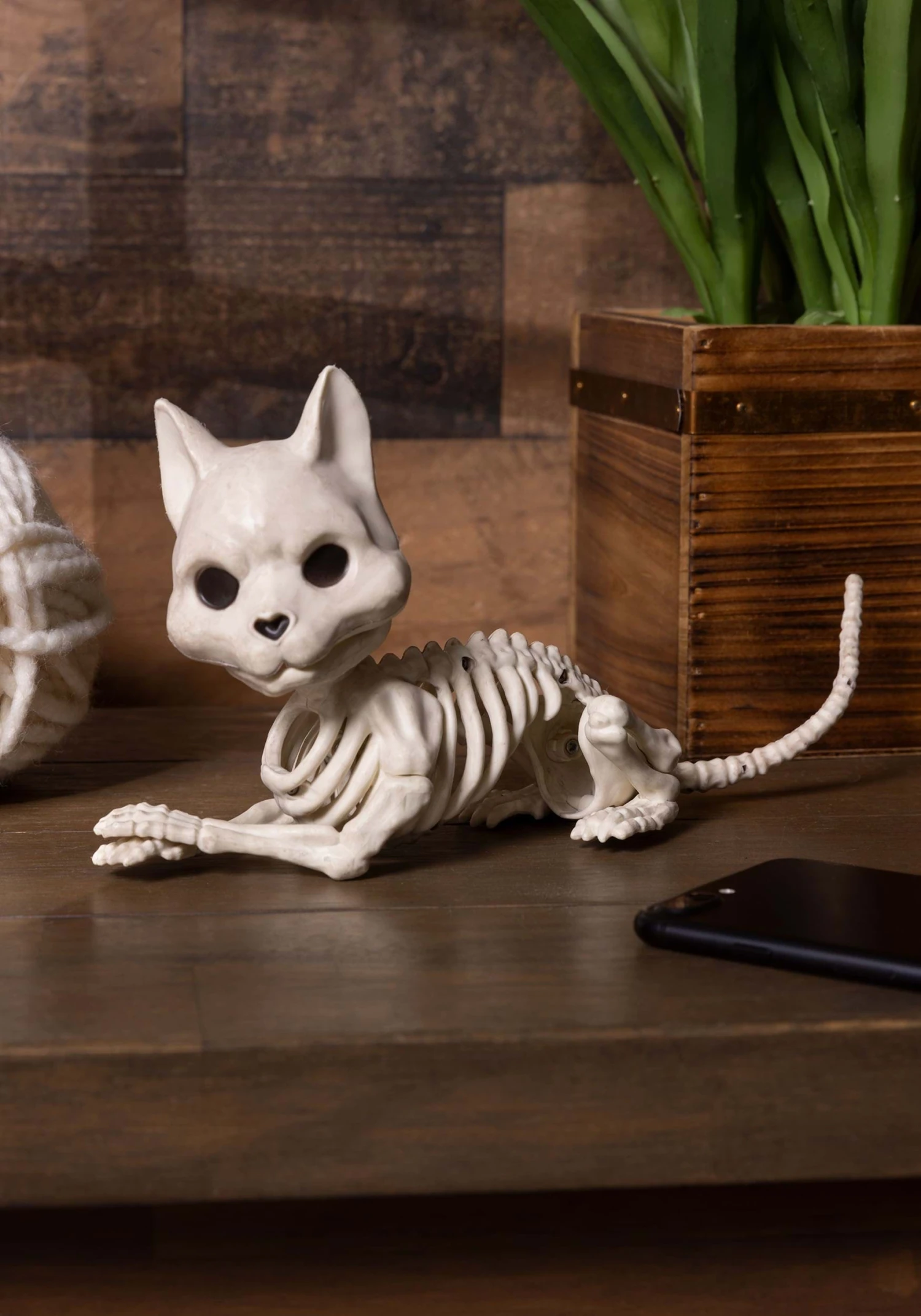 Cute Skeleton Cat Prop Decoration 3 Cute Skeleton Cat Prop Decoration