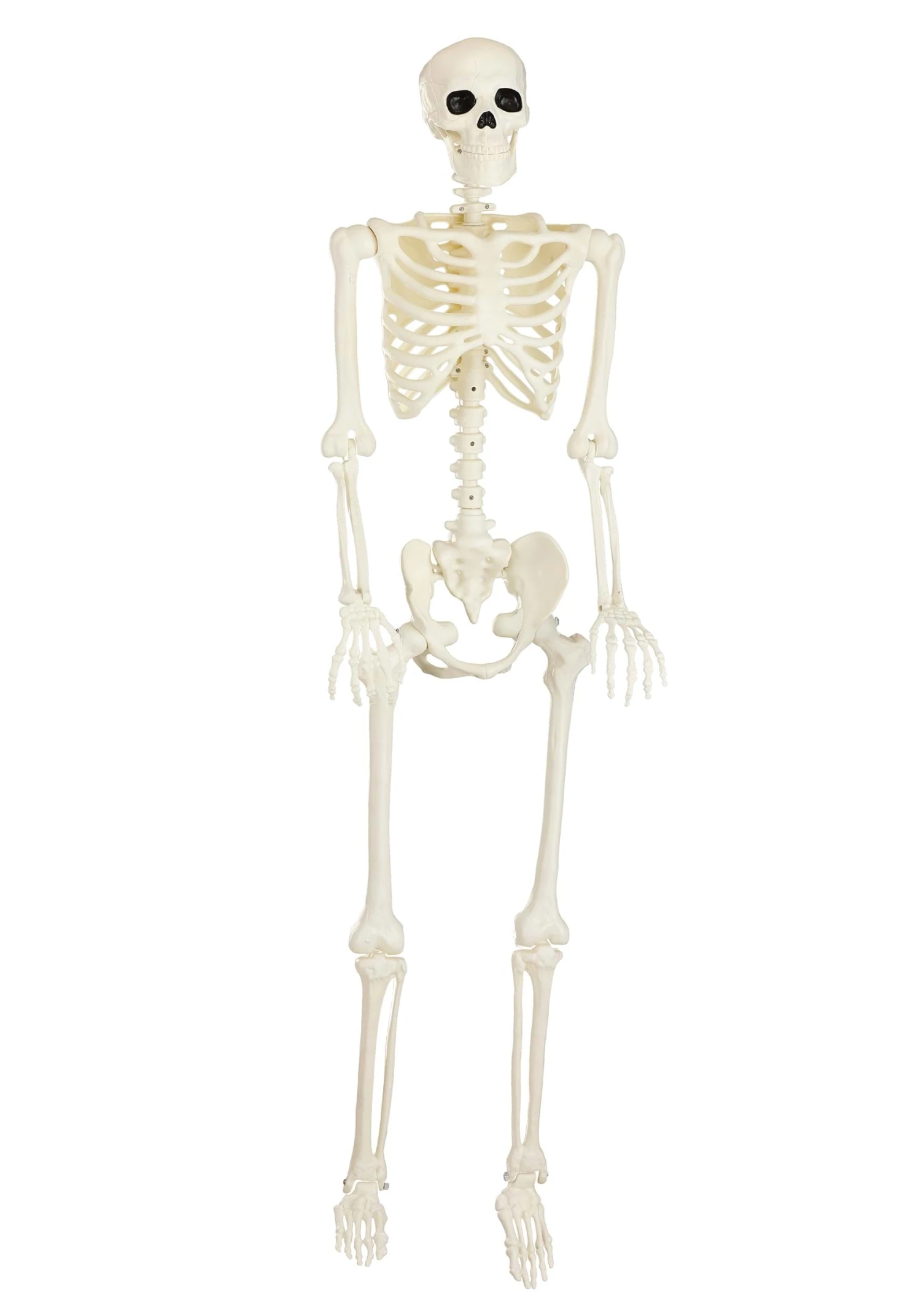 5FT Black Light Ghostly Skeleton Halloween Decoration 4 5FT Black Light Ghostly Skeleton Halloween Decoration - Image 2