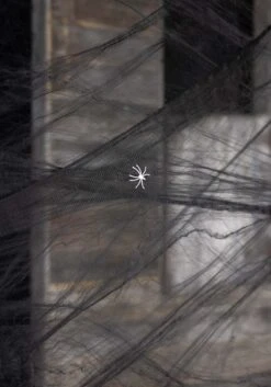 Large Black Spider Web With Spiders Decoration 5 Large Black Spider Web With Spiders Decoration -Halloween Costumes 60g large black spider web w spider decoration alt 1