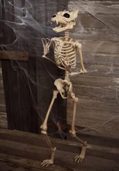 5.3FT Poseable Werewolf Skeleton Halloween Decoration
