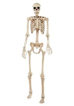 74-Inch Skeleton Halloween Decoration -Halloween Costumes 74 skeleton alt 6