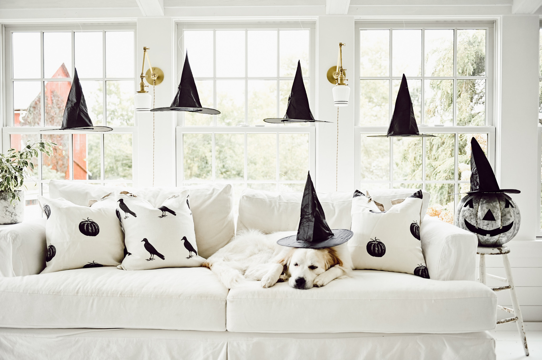 Halloween Costumes 34 Halloween Costumes -Halloween Costumes IMG 1805