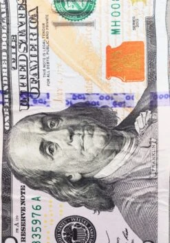 100 Dollar Bill Costume For Adults -Halloween Costumes adult 100 dollar bill costume alt 2