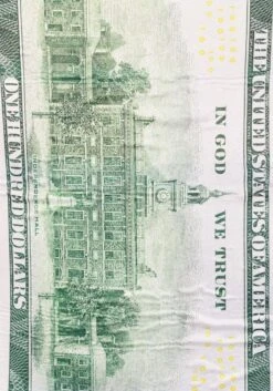 100 Dollar Bill Costume For Adults -Halloween Costumes adult 100 dollar bill costume alt 3