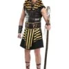 Ancient Pharaoh Adult Costume 2 Ancient Pharaoh Adult Costume -Halloween Costumes adult ancient pharaoh
