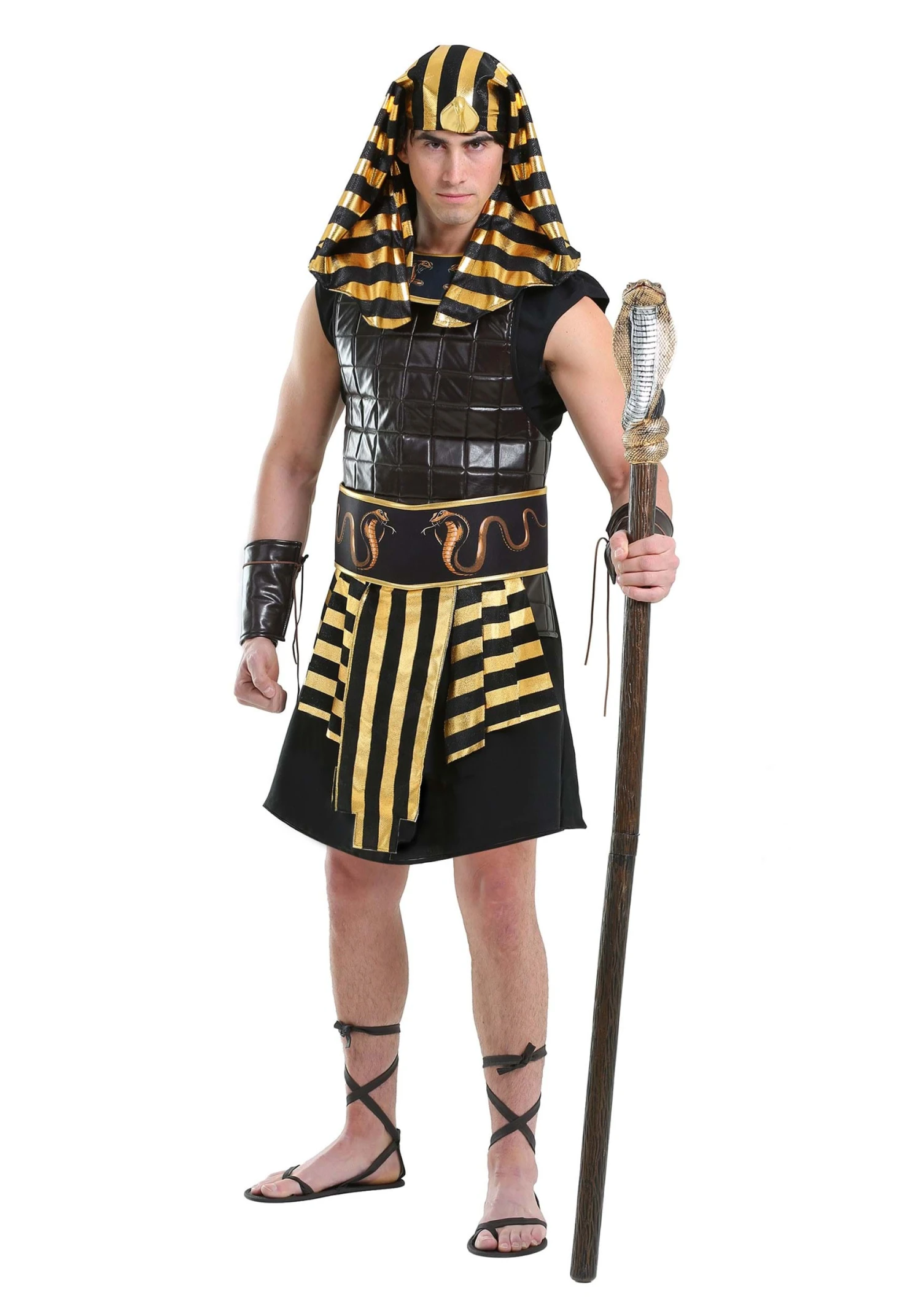 Ancient Pharaoh Adult Costume 3 Ancient Pharaoh Adult Costume