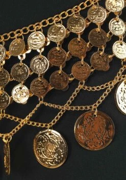 Belly Dancer Costume Coin Belt For Adults -Halloween Costumes adult belly dancer costume coin belt alt 1