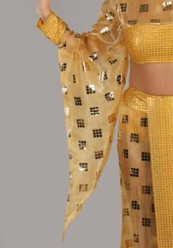 Women's Cher Costume Dress -Halloween Costumes adult cher costume alt 8