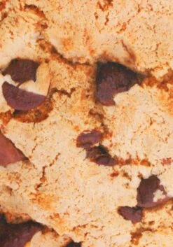 Adult Chocolate Chip Cookie Costume -Halloween Costumes adult chocolate chip cookie alt 3