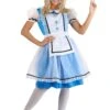 Classic Alice Costume Dress For Women -Halloween Costumes adult classic alice costume