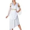 Classic Greek Goddess Women's Costume -Halloween Costumes adult classic greek goddess costume