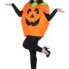 Classic Pumpkin Costume For Adults 1 Classic Pumpkin Costume For Adults -Halloween Costumes adult classic pumpkin costume