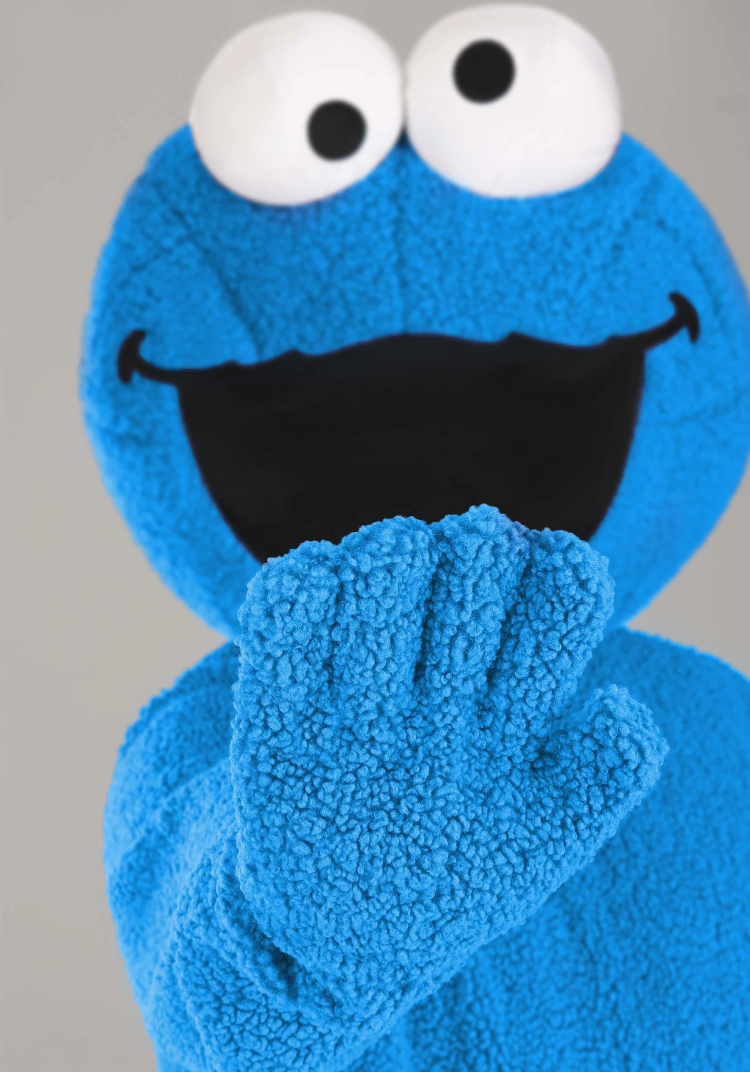 Sesame Street Cookie Monster Mascot Costume For Adults 9 Sesame Street Cookie Monster Mascot Costume For Adults - Image 7