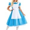 Deluxe Disney Alice Costume For Women 2 Deluxe Disney Alice Costume For Women -Halloween Costumes adult deluxe disney alice costume