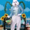 Adult Deluxe Easter Bunny Costume
