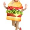 Adult Deluxe Hamburger Costume