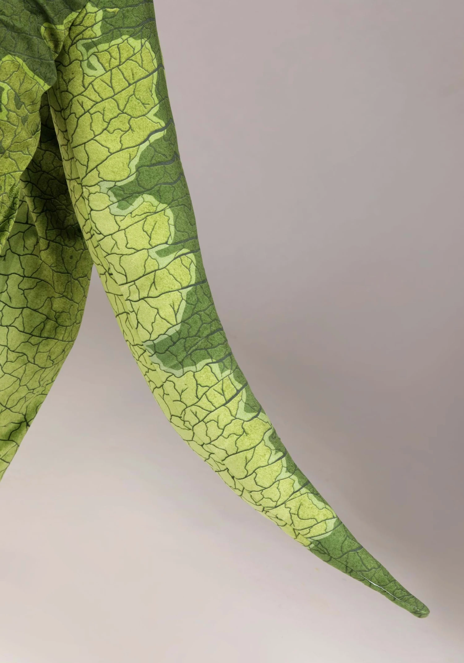 Dilophosaurus Adult Costume 8 Dilophosaurus Adult Costume - Image 6