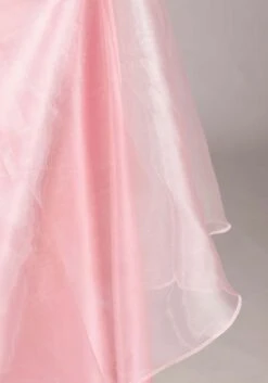 Women's Disney Princess And The Frog Charlotte Costume Dress 19 Women's Disney Princess And The Frog Charlotte Costume Dress -Halloween Costumes adult disney charlotte princess and the frog costu alt 6