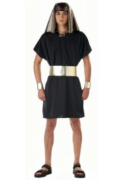 Adult Egyptian Pharaoh Costume