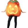 Fall Pumpkin Costume For Adults 1 Fall Pumpkin Costume For Adults -Halloween Costumes adult fall pumpkin costume