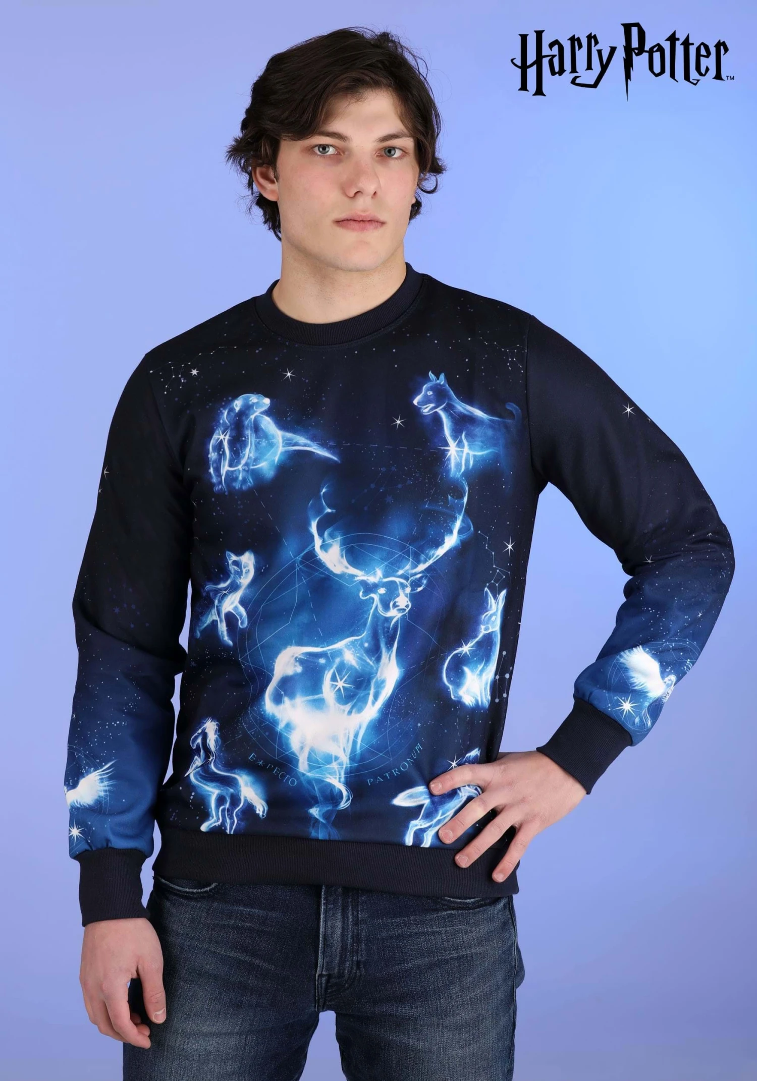 Harry Potter Patronus Ugly Sweatshirt For Adults 3 Harry Potter Patronus Ugly Sweatshirt For Adults