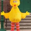 10 Foot Inflatable Sesame Street Big Bird Costume For Adults