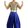 Magical Genie Costume For Men 2 Magical Genie Costume For Men -Halloween Costumes adult magical genie costume