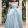 Disney Premium Cinderella Costume Dress For Women -Halloween Costumes adult premium cinderella costume