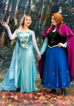 Premium Disney Frozen Elsa Costume For Women -Halloween Costumes adult premium disney frozen elsa costume alt 1