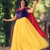 Premium Disney Snow White Costume For Women 1 Premium Disney Snow White Costume For Women -Halloween Costumes adult premium snow white costume