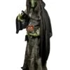 Premium Evil Green Witch Costume For Adults 2 Premium Evil Green Witch Costume For Adults -Halloween Costumes adult premium witch costume