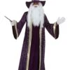 Purple Wizard Costume For Men -Halloween Costumes adult purple wizard costume