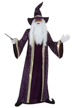 Purple Wizard Costume For Men