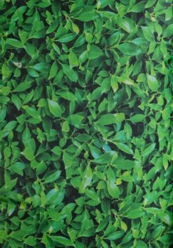 Adult Edward Scissorhands Topiary Dinosaur Inflatable Costume -Halloween Costumes adult scissorhands topiary dinosaur inflatable costume alt 6