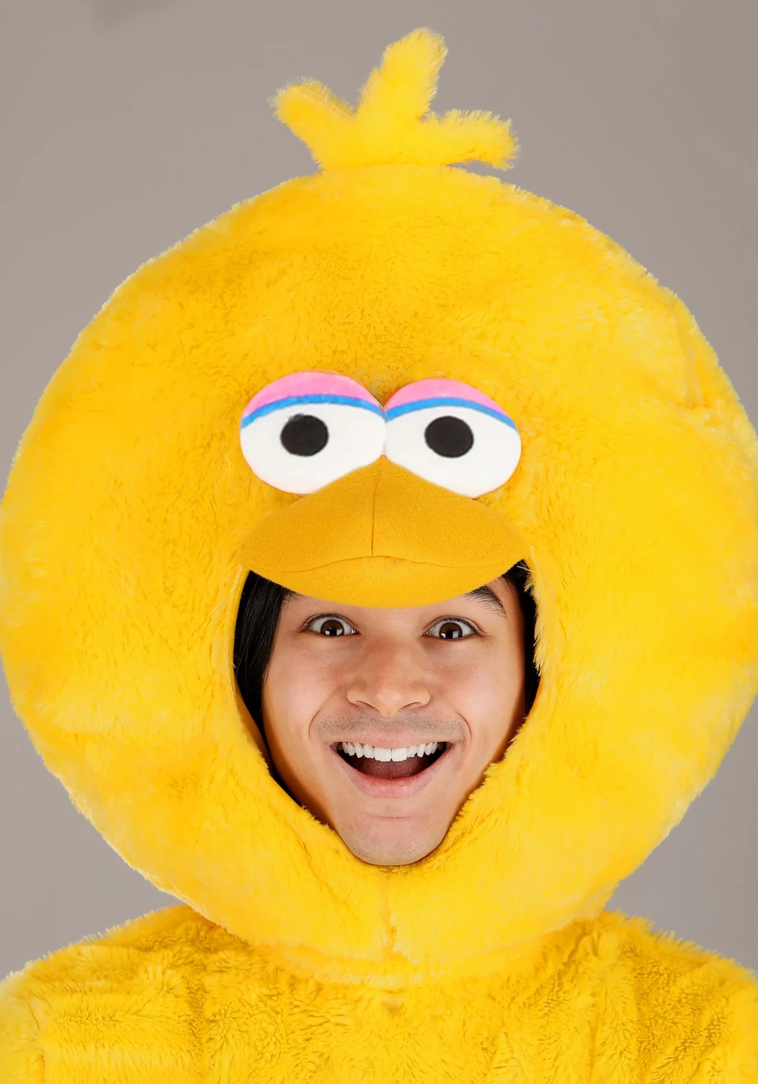 Sesame Street Big Bird Costume For Adults 7 Sesame Street Big Bird Costume For Adults - Image 5