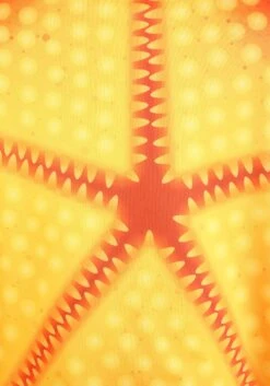 Adult Orange Starfish Costume -Halloween Costumes adult starfish costume alt 3