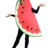 Watermelon Costume For Adults 2 Watermelon Costume For Adults -Halloween Costumes adult watermelon costume