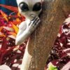Alien Tree Peeker Halloween Decoration 1 Alien Tree Peeker Halloween Decoration -Halloween Costumes alien tree peeker