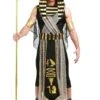 All Powerful Pharaoh Men's Costume -Halloween Costumes all powerful pharaoh mens costume