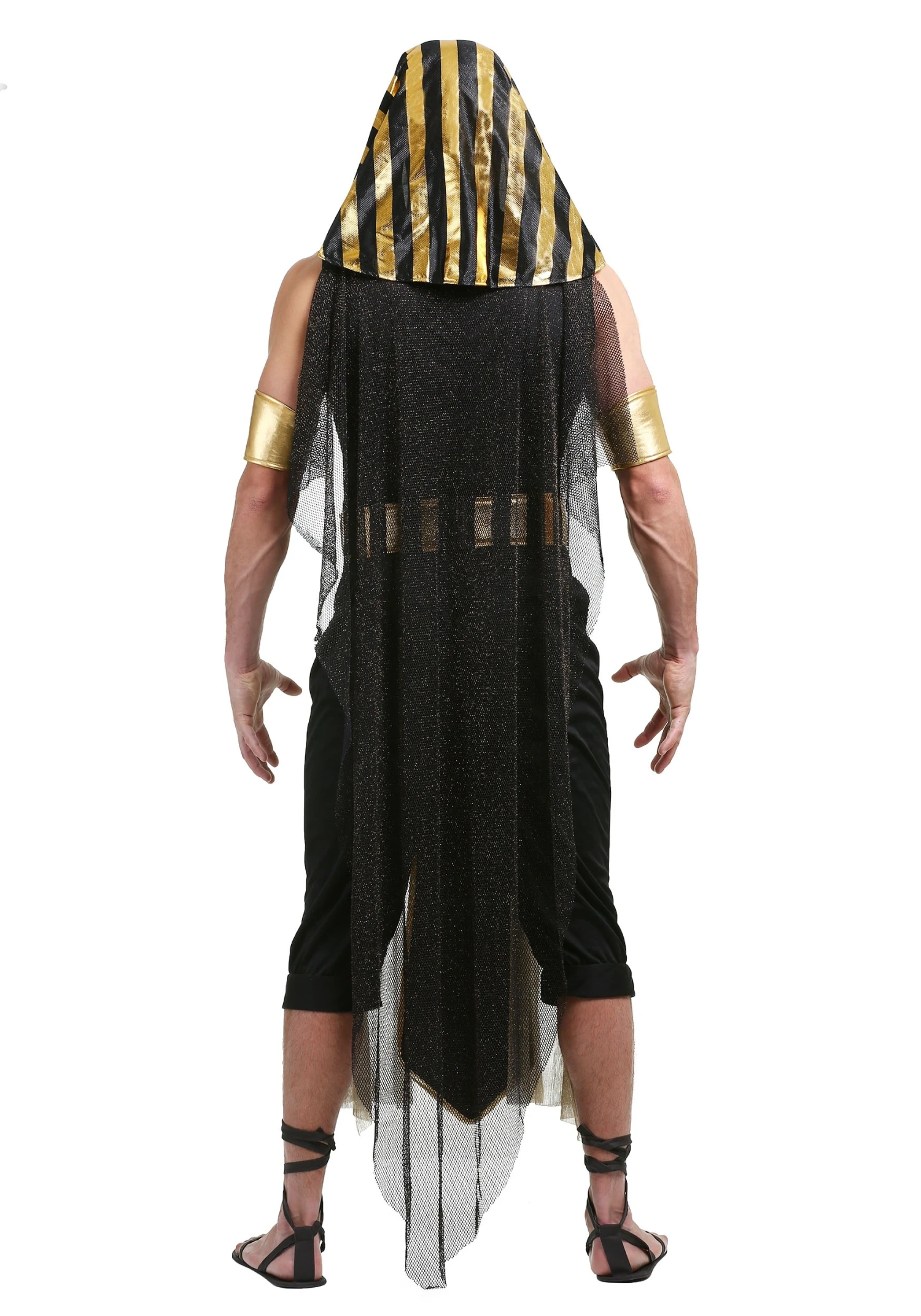 Plus Size All Powerful Pharaoh Men's Costume 4 Plus Size All Powerful Pharaoh Men's Costume - Image 2